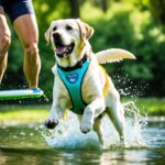 Training a Labrador Retriever for water activities