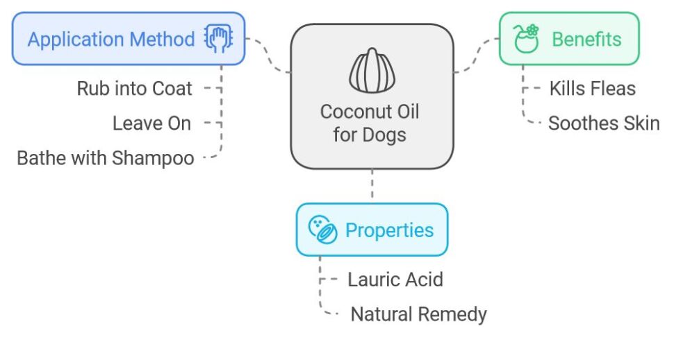 Coconut Oil A Soothing Shield